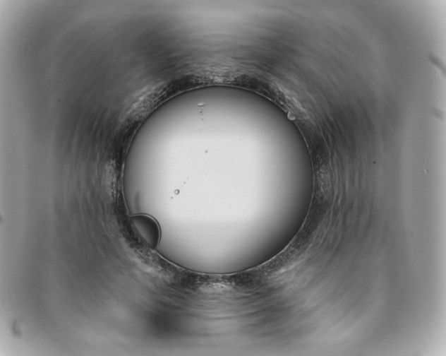 X0000096210594200802011323