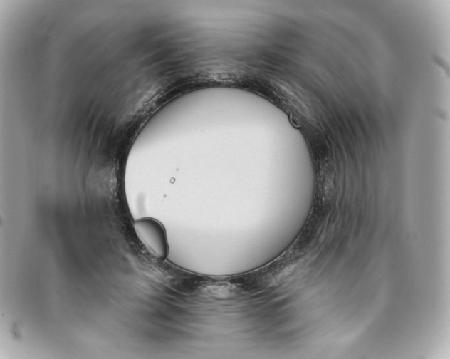 X0000096210595200802011323