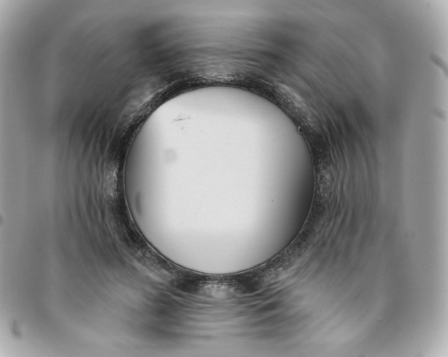 X0000096210596200802011323