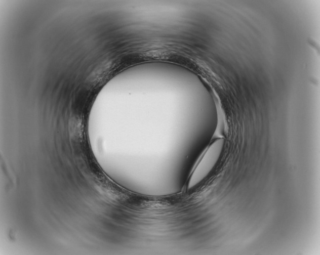 X0000096210597200802011323