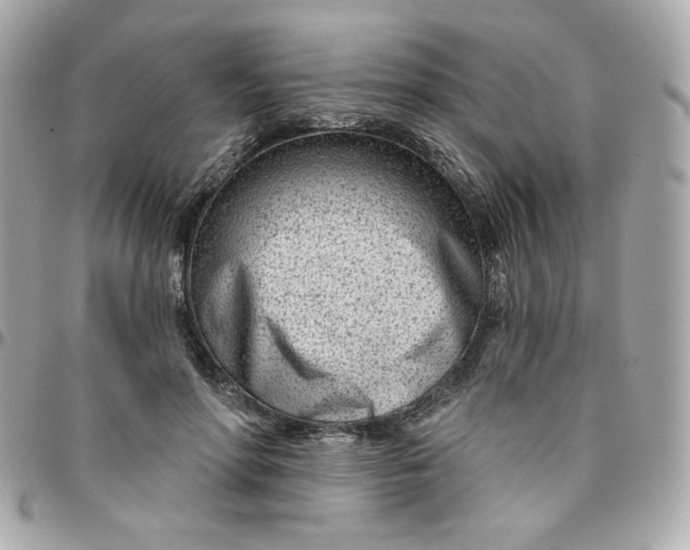 X0000096210598200802011323