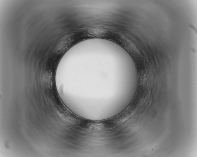 X0000096210599200802011323