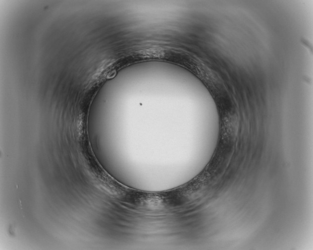 X0000096210600200802011323