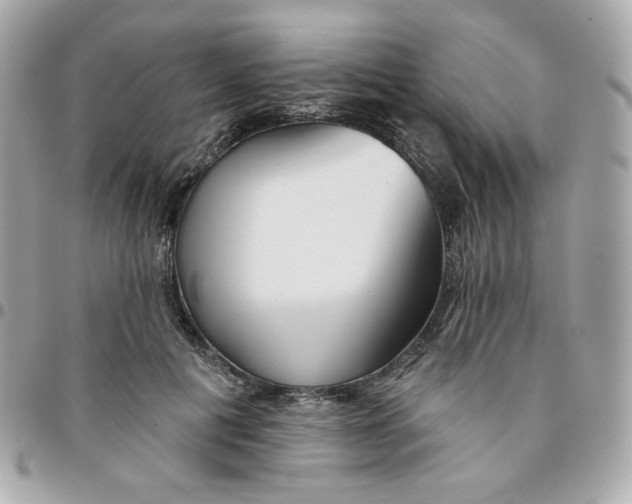 X0000096210601200802011323