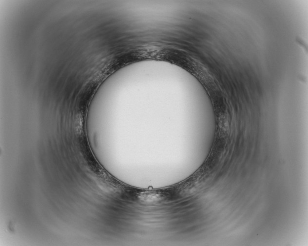 X0000096210602200802011323