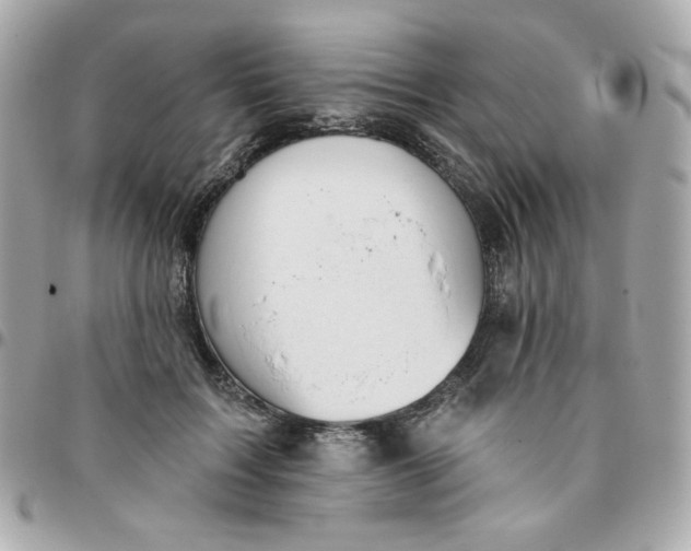 X0000096210603200802011323