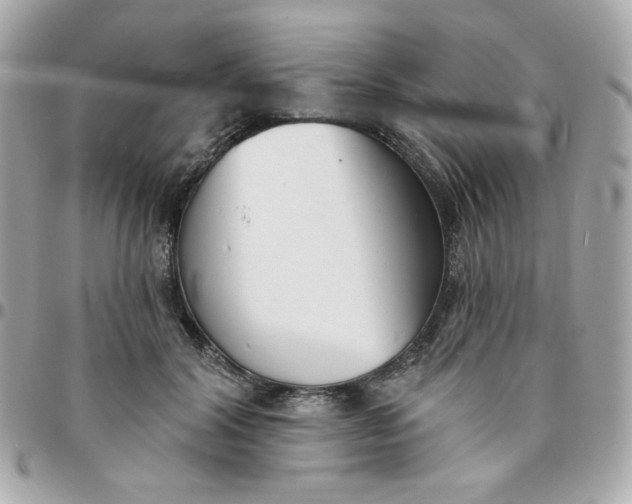 X0000096210604200802011323