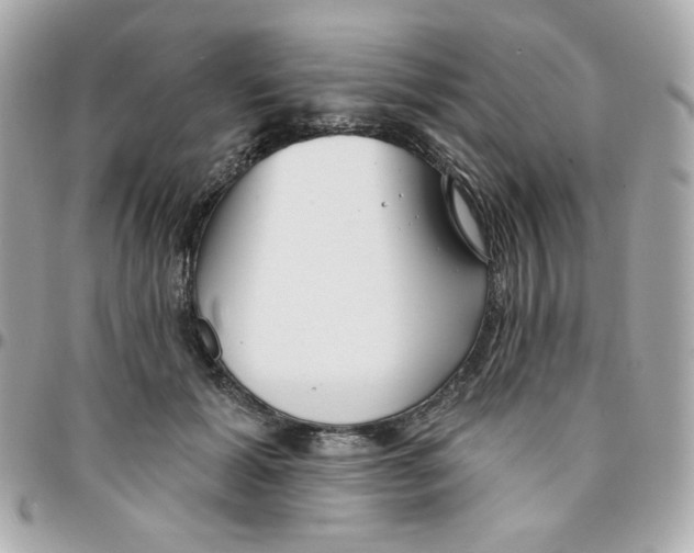 X0000096210605200802011323