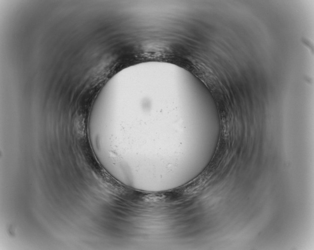 X0000096210606200802011323