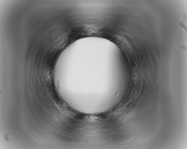 X0000096210607200802011323