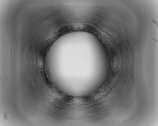 X0000096210608200802011323