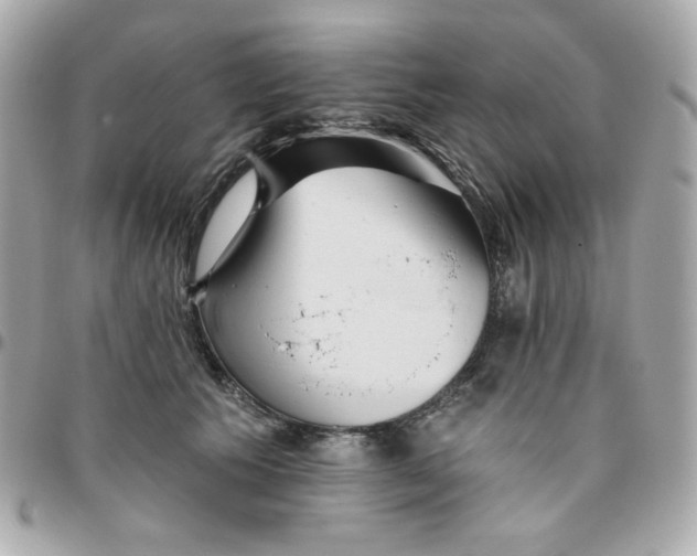 X0000096210609200802011323