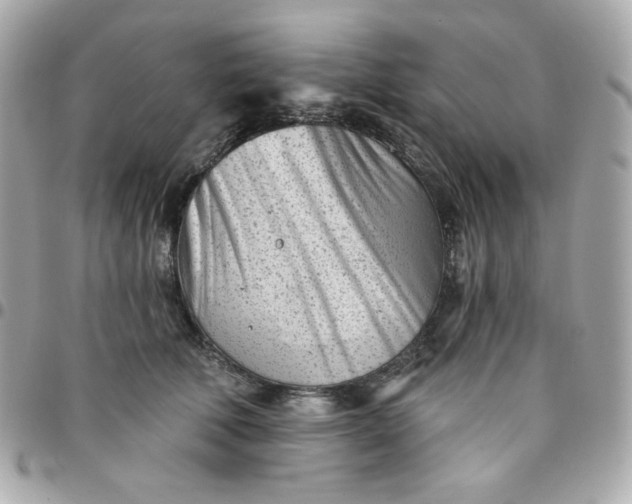 X0000096210610200802011322