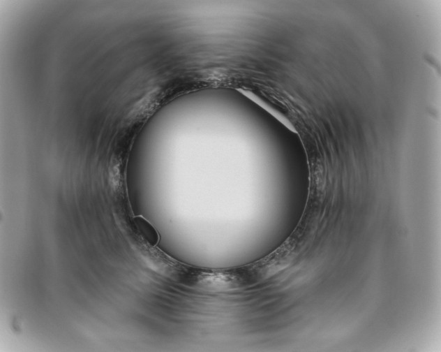 X0000096210611200802011322