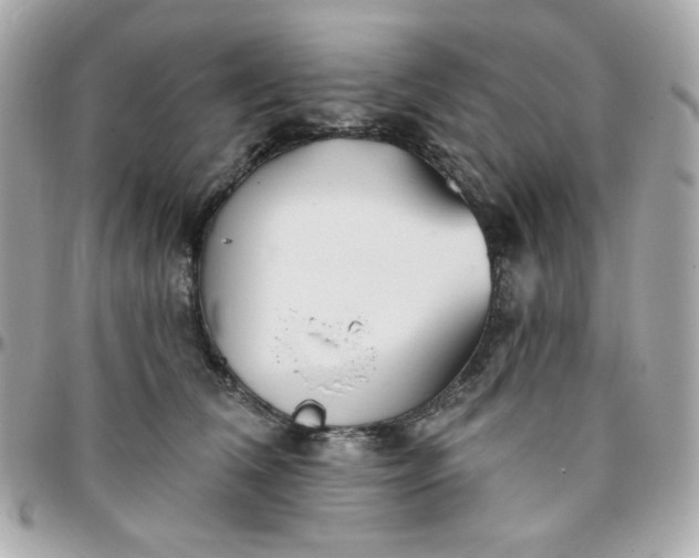 X0000096210612200802011322