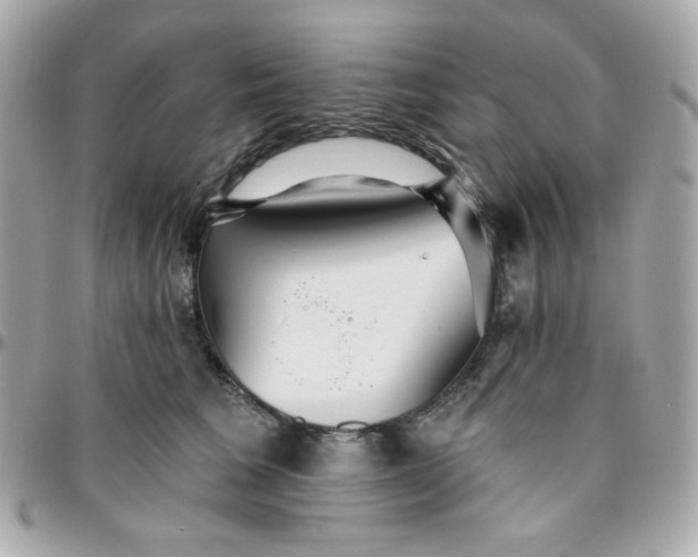 X0000096210613200802011322