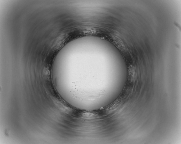 X0000096210614200802011322