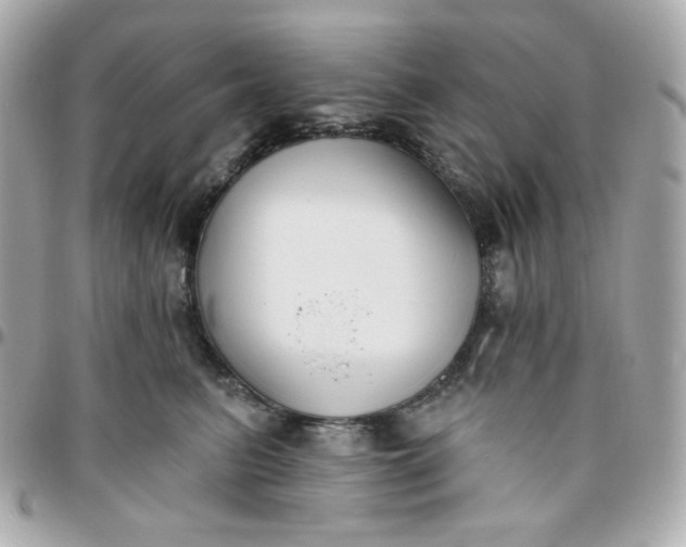 X0000096210615200802011322