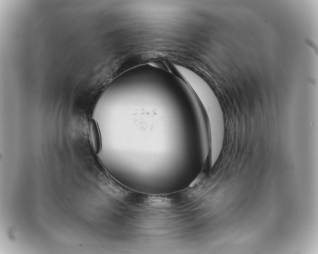 X0000096210617200802011322