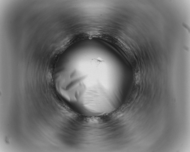 X0000096210618200802011322