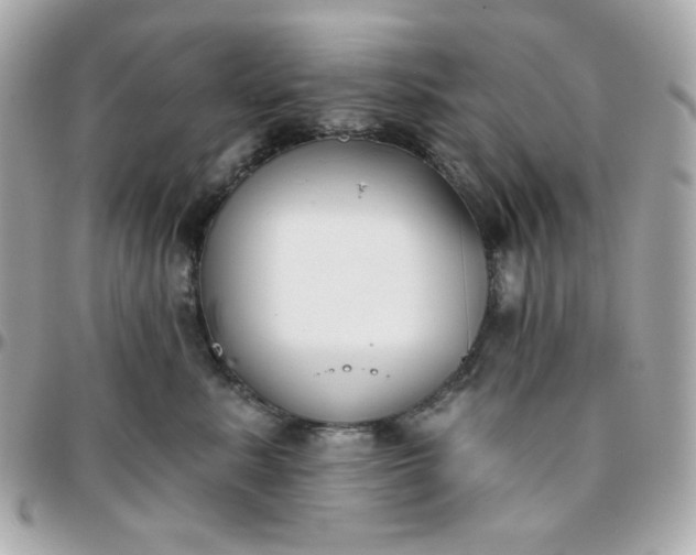 X0000096210619200802011322