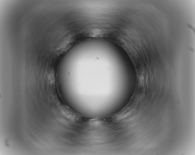 X0000096210620200802011322