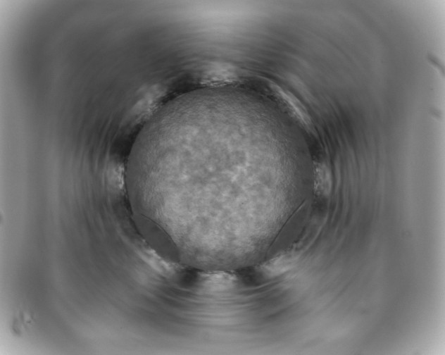 X0000096210621200802011322