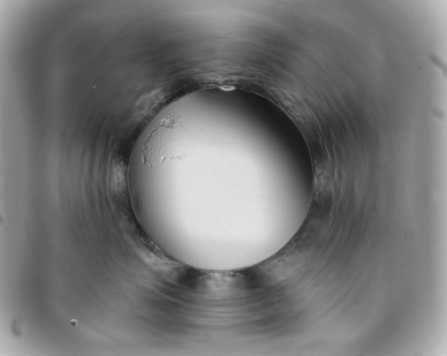 X0000096210623200802011322