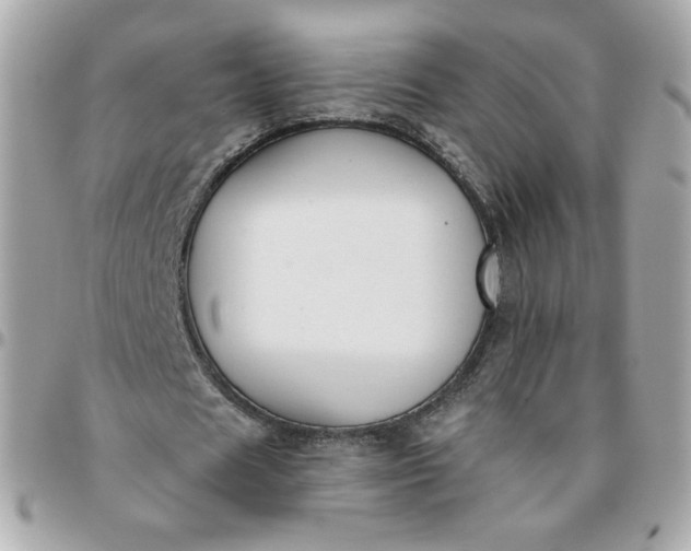 X0000096210625200802011322