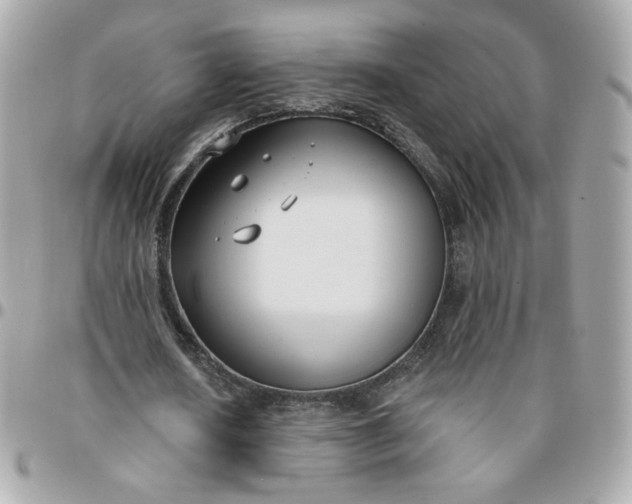 X0000096210626200802011322