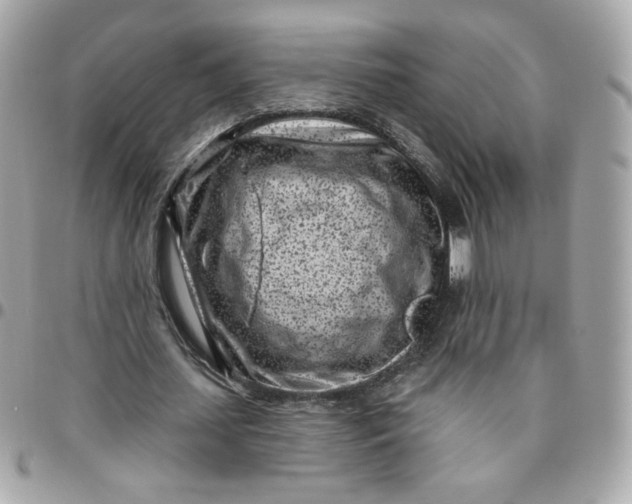 X0000096210627200802011322