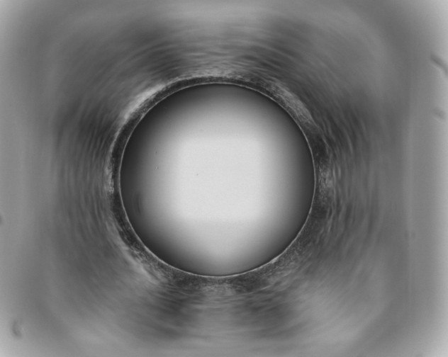 X0000096210628200802011322