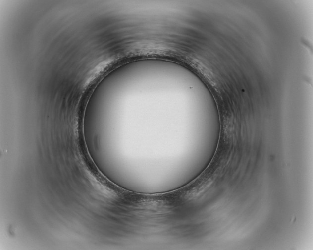 X0000096210629200802011322