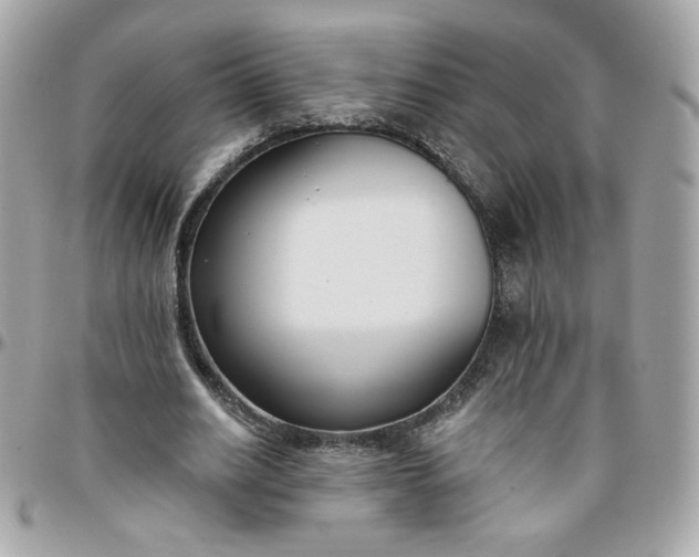 X0000096210630200802011322