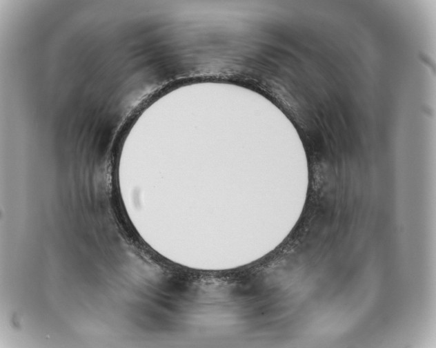 X0000096210632200802011322