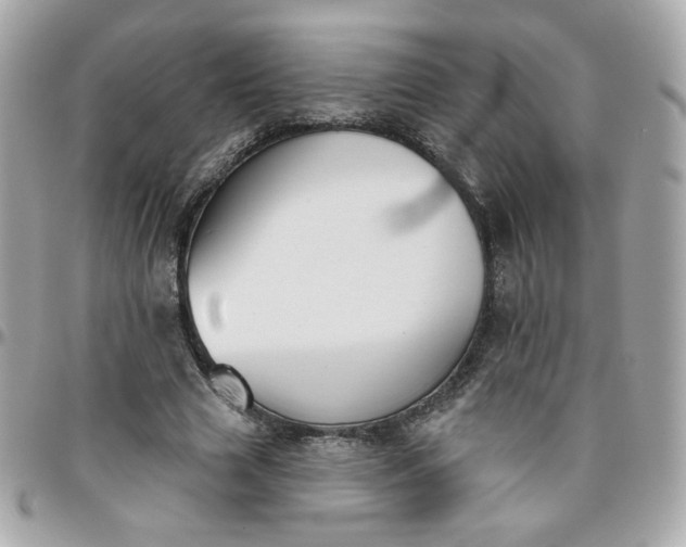 X0000096210633200802011322