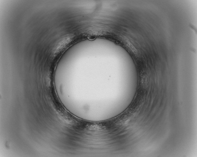 X0000096210635200802011322