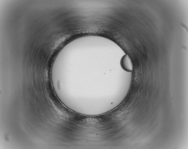 X0000096210636200802011322