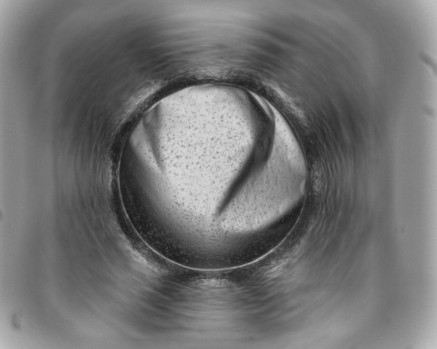 X0000096210637200802011322