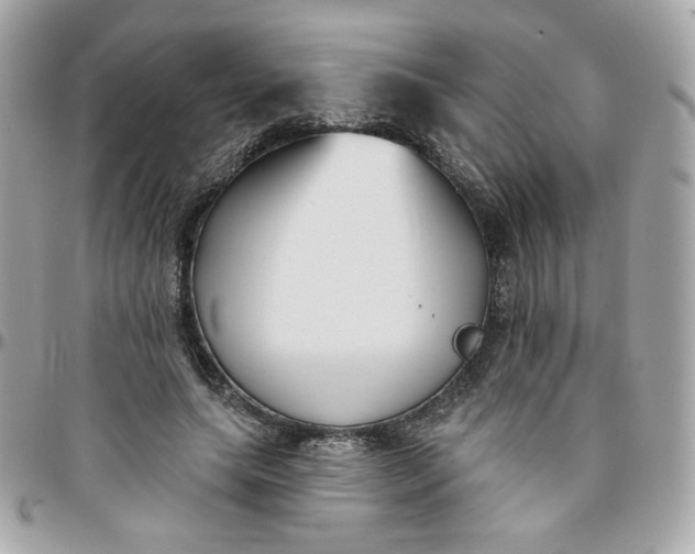 X0000096210639200802011322