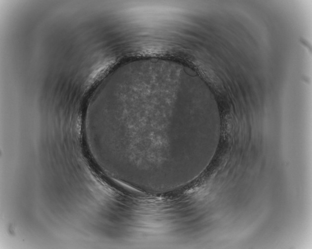 X0000096210640200802011322