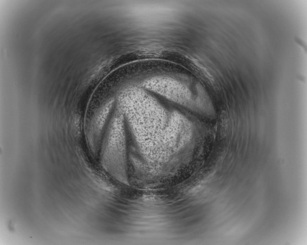 X0000096210641200802011322