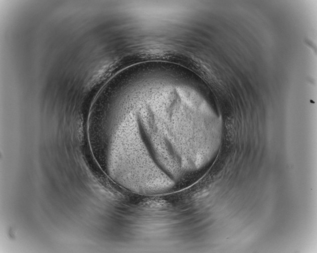 X0000096210642200802011322