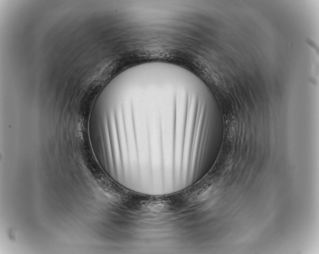 X0000096210643200802011322