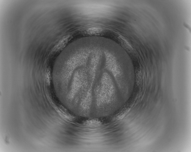 X0000096210644200802011322