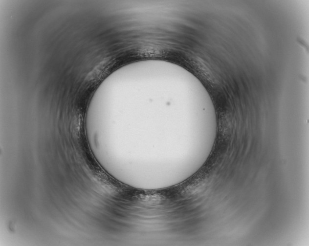 X0000096210645200802011322