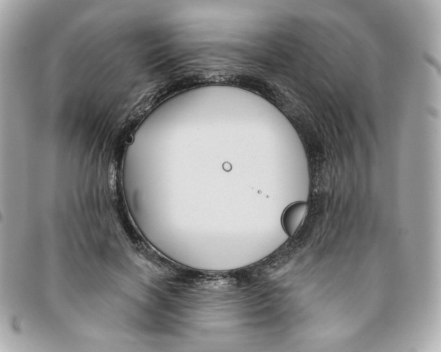 X0000096210646200802011322