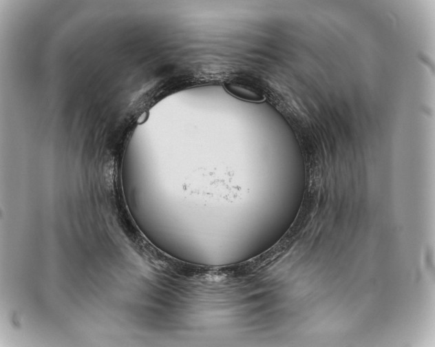 X0000096210647200802011322