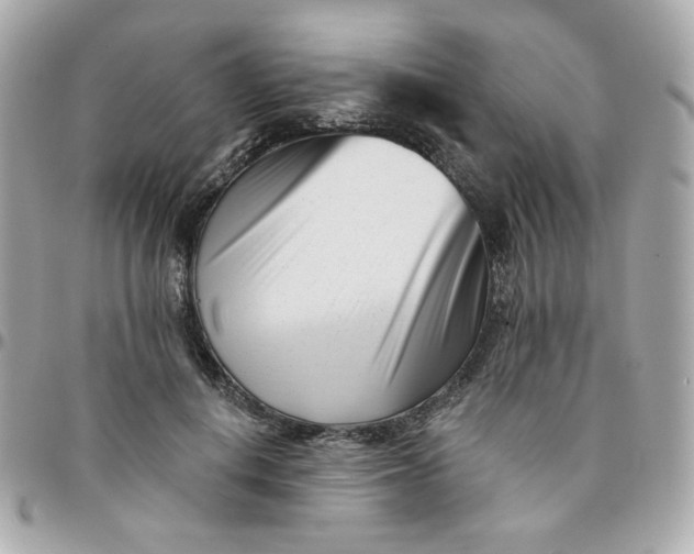 X0000096210648200802011322