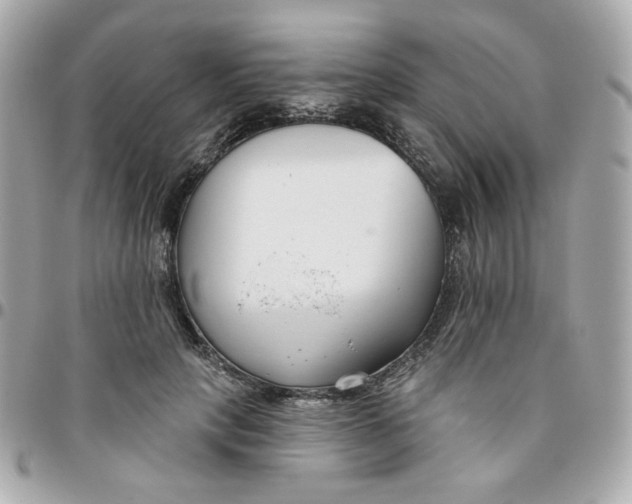 X0000096210649200802011322